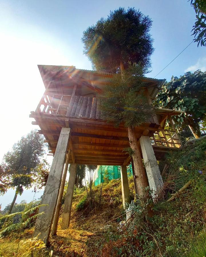 Suma Aavaas Farmstayダージリン エクステリア 写真