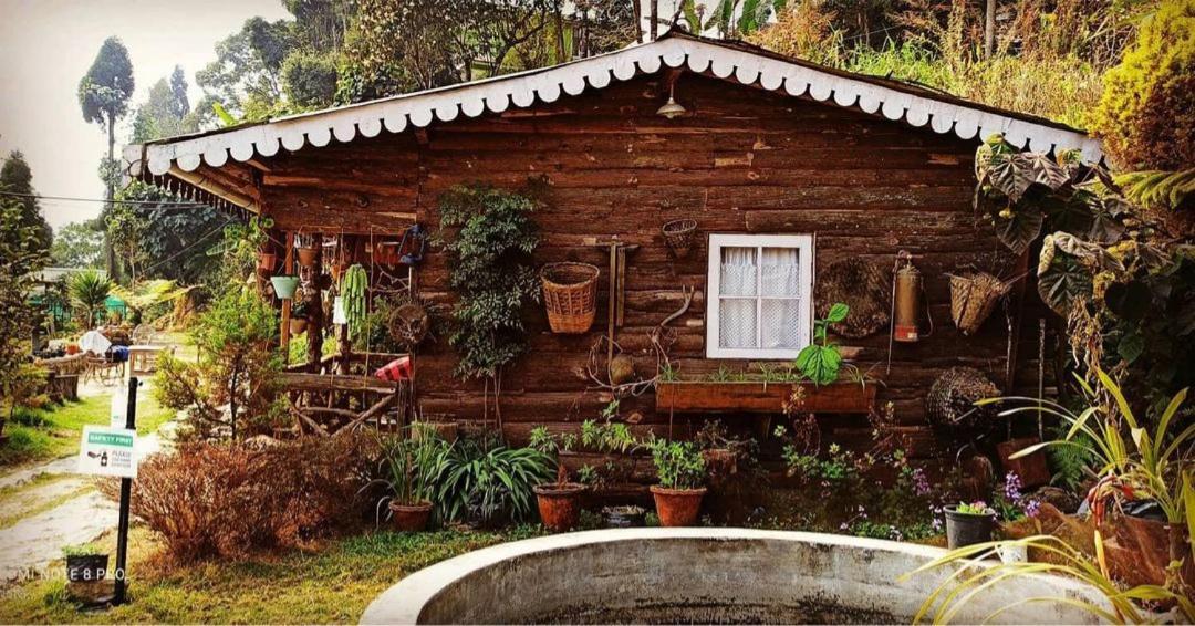 Suma Aavaas Farmstayダージリン エクステリア 写真