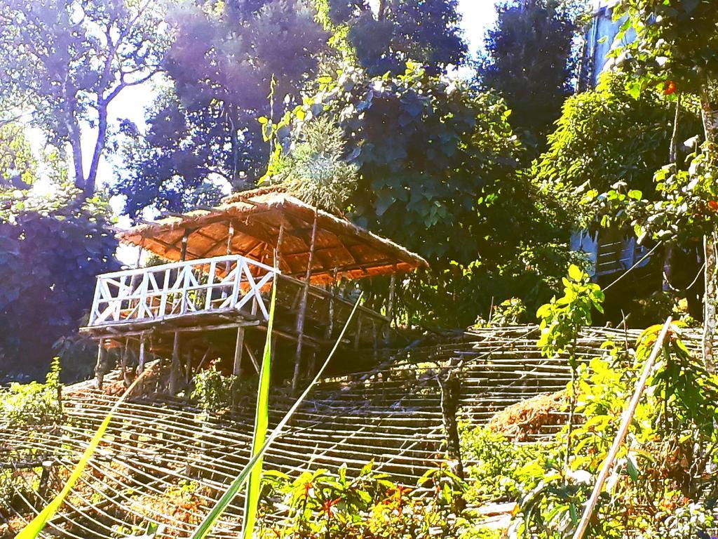 Suma Aavaas Farmstayダージリン エクステリア 写真